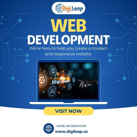 web-development-services-in-usa-digileap-big-0