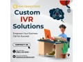 custom-ivr-solutions-for-small-businesses-small-0