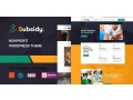 subsidy-the-ultimate-nonprofit-wordpress-theme-small-0