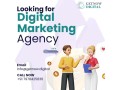 best-digital-marketing-services-in-usa-small-0