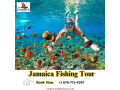 jamaica-fishing-tour-scuba-diving-with-simpsons-watersports-small-0