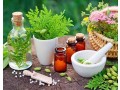 holistic-healing-with-homeopathy-in-flower-mound-small-0