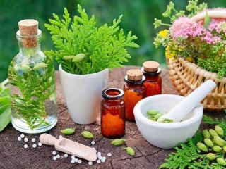 Holistic Healing with Homeopathy in Flower Mound