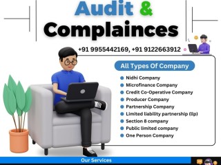 Examples of compliance audits