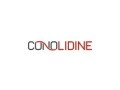 stay-informed-conolidine-breaking-news-and-in-depth-blogs-small-0