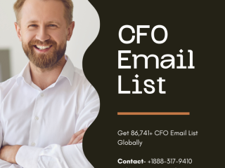 Drive Business Growth with Avention Medias CFO Email List