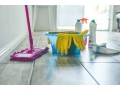 how-to-find-the-best-house-cleaner-in-bend-for-your-home-small-0