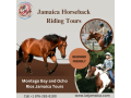 montego-bay-jamaica-horseback-riding-tours-small-0