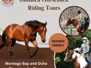 Montego Bay & Jamaica Horseback Riding Tours