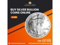 buy-silver-bullion-coins-online-trusted-investment-options-small-0