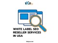 white-label-seo-reseller-services-in-usa-small-0