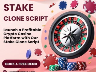 Stake Clone Script: The Ultimate Solution for Aspiring Gaming Entrepreneurs