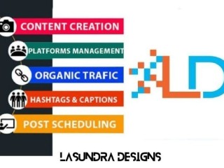 Boost Your Brand with Lasundra Designs!