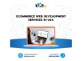 ecommerce-web-development-services-in-usa-small-0