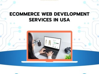 Ecommerce Web development services in USA