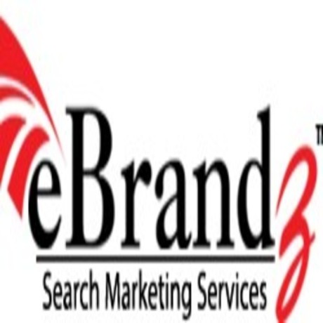 ebrandz-inc-award-winning-digital-marketing-agency-big-0