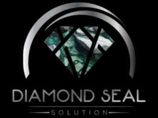 Diamond Seal Solution LLC