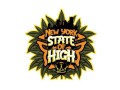 new-york-state-of-high-nysoh-small-0