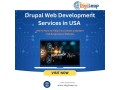 drupal-web-development-services-in-usa-digileap-small-0