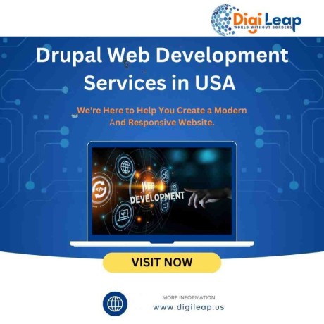 drupal-web-development-services-in-usa-digileap-big-0