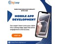 mobile-app-development-companies-in-usa-digileap-small-0