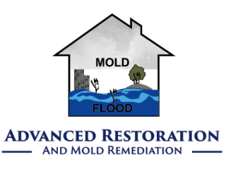 Professional Mold Removal Services in Naples