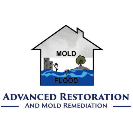 professional-mold-removal-services-in-naples-big-0