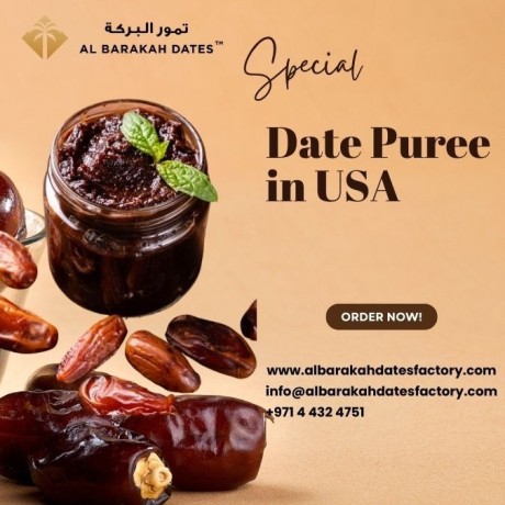 date-puree-dates-paste-bulk-buy-online-in-usa-from-al-barakah-dates-factory-big-0