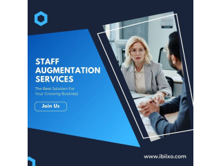 IT Staff Augmentation Service by Ibiixo