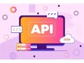 why-developers-choose-api-software-for-efficient-application-development-small-0