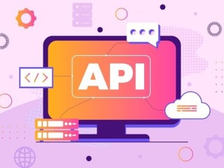 Why Developers Choose API Software for Efficient Application Development