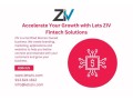 accelerate-your-growth-with-lets-ziv-fintech-solutions-small-0