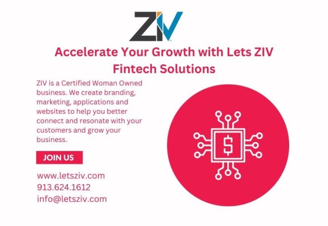 accelerate-your-growth-with-lets-ziv-fintech-solutions-big-0