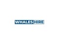 whales-hire-small-0