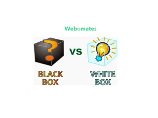 Black Box vs White Box testing