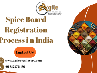 Spice Board Registration Process In India