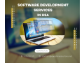 top-software-development-company-in-usa-hire-software-developers-usa-small-0
