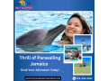 thrill-of-parasailing-jamaica-book-your-adventure-today-small-0