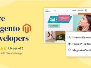 Hire Magento Programmers to Build, Customize, and Optimize Your eCommerce Store