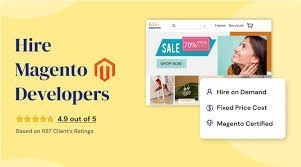 hire-magento-programmers-to-build-customize-and-optimize-your-ecommerce-store-big-0