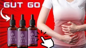 get-gut-go-your-digestive-health-ally-big-1