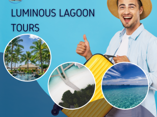 Luminous Lagoon Tours and Transfers in Montego Bay, Jamaica