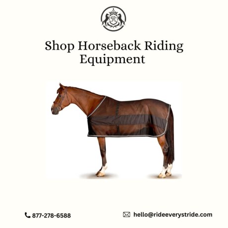 shop-horseback-riding-equipment-at-ride-every-stride-inc-big-0