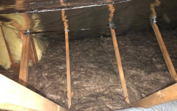 protect-your-home-from-the-ground-up-with-johnsons-crawlspace-solutions-big-1