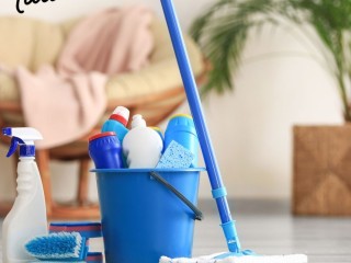 Elevate Your Homes Cleanliness with Professional Services