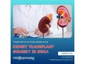 affordable-cost-of-kidney-transplant-surgery-in-india-small-0