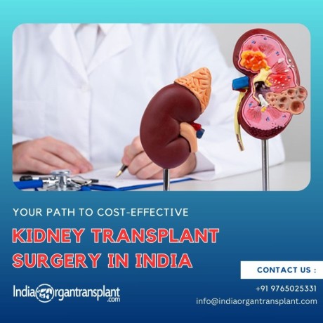 affordable-cost-of-kidney-transplant-surgery-in-india-big-0