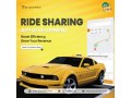 drive-business-success-with-carpooling-app-development-in-usa-small-0