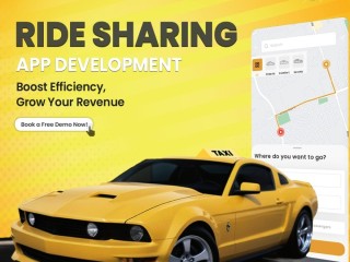 Drive Business Success with Carpooling App Development in USA