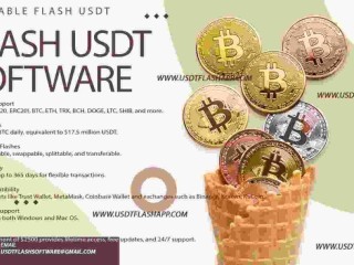 Flash USDT Application